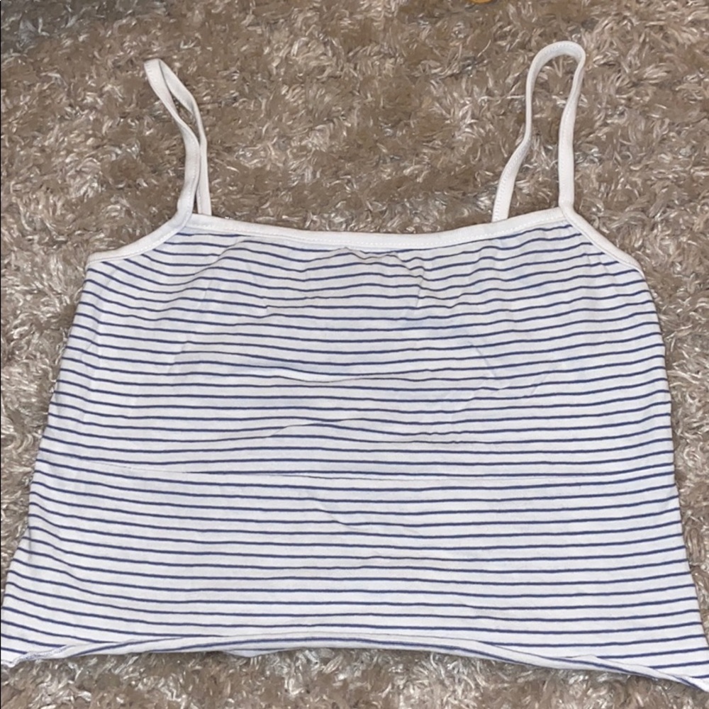 Brandy Melville Striped Tank Top (Cropped)